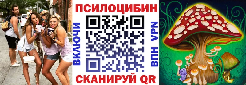 Псилоцибиновые грибы Magic Shrooms  Новосиль 